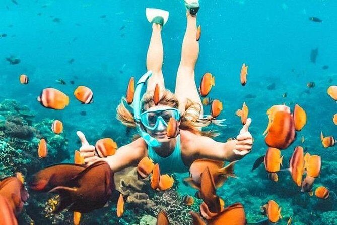 All Inclusive : Bali Blue Lagoon Snorkeling, Lunch, and Transport - Blue Lagoon snorkeling: calm water, marine life, and first-time confidence