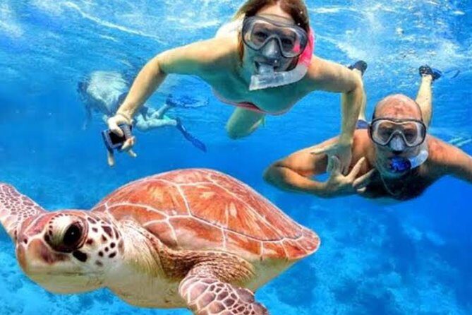 All Inclusive Bali Blue Lagoon Snorkeling with Lunch and Transport - A full day of Padangbai snorkeling, beaches, and coffee