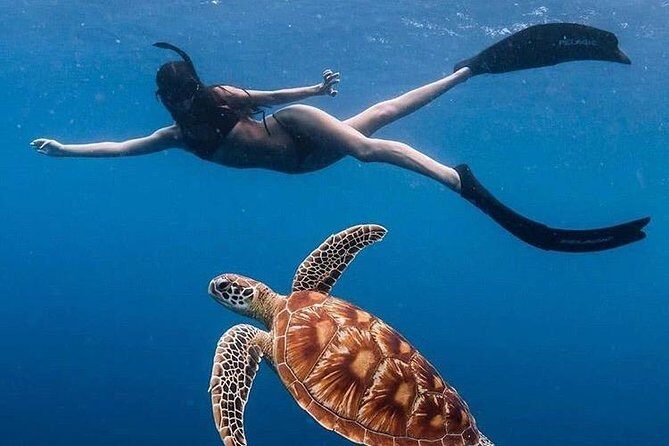 All Inclusive : Bali Blue Lagoon Snorkeling with Lunch &Transfers - Key things I’d track before you book