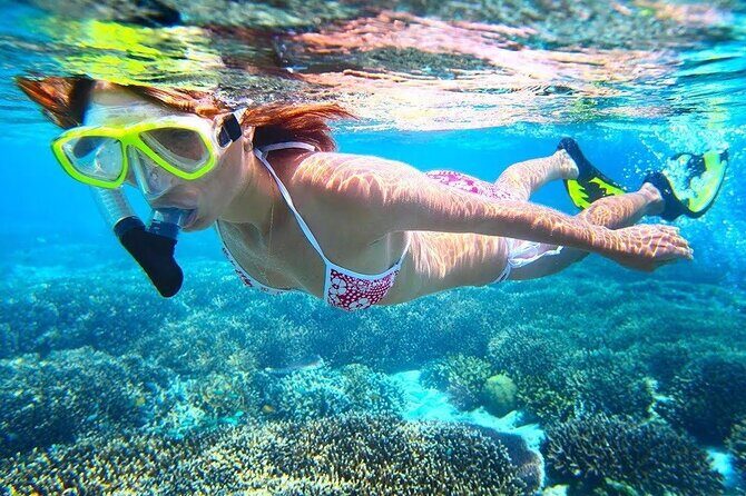 All Inclusive : Bali Blue Lagoon Snorkeling with Lunch &Transfers - Should you book Bali Blue Lagoon Snorkeling with Lunch & Transfers?