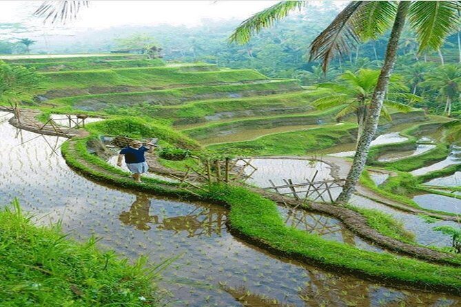 ALL INCLUSIVE - Bali Gate Of Heaven Tour - Tips to make photos smoother and the day easier