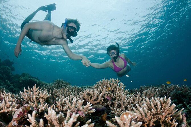 All Inclusive Bali Scuba Diving at Tulamben with Lunch -Transport - Key highlights at a glance