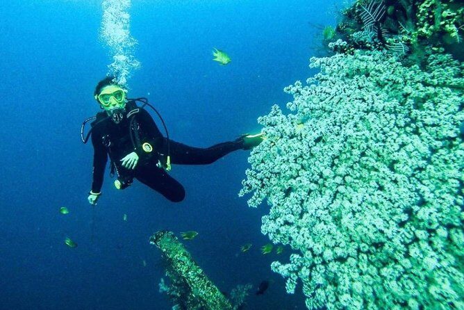 All Inclusive Bali Scuba Diving at Tulamben with Lunch -Transport - Price in context: is $150 worth it for a full day?