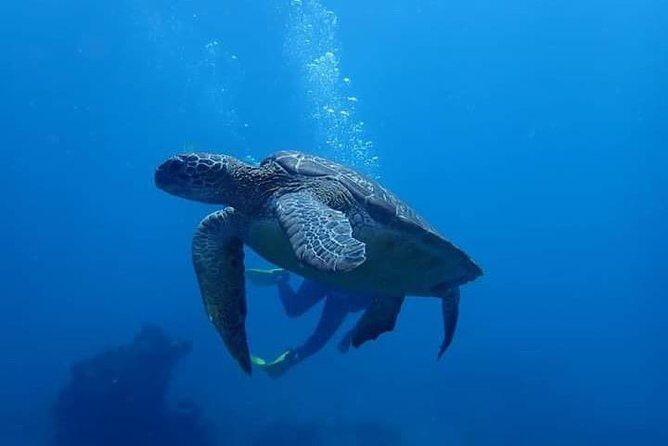 All Inclusive Bali Scuba Diving at Tulamben with Lunch -Transport - Safety briefing and technique practice: what you do before you go under