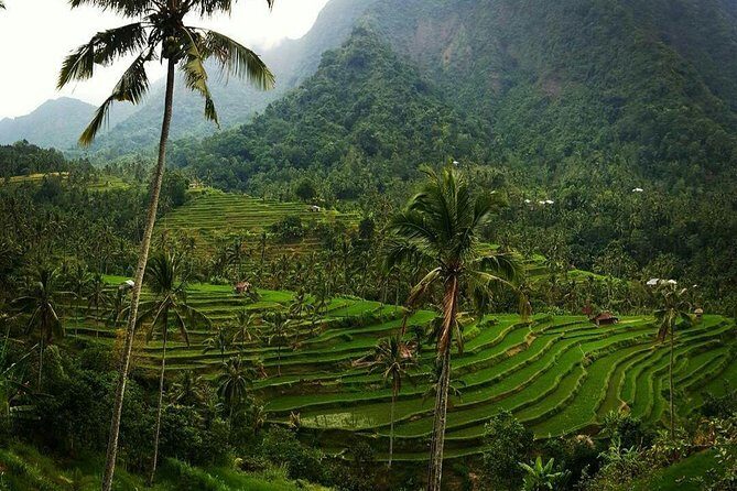 All inclusive Bali Sekumpul Waterfalls Trekking Tour - Water slide river access with helmet and supervisor: the safe-fun part