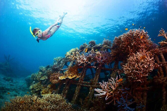 All-Inclusive Bali Snorkeling at Blue Lagoon Beach & ATV Ride - Second snorkeling spot: Tanjung Jepun Beach over coral and fish
