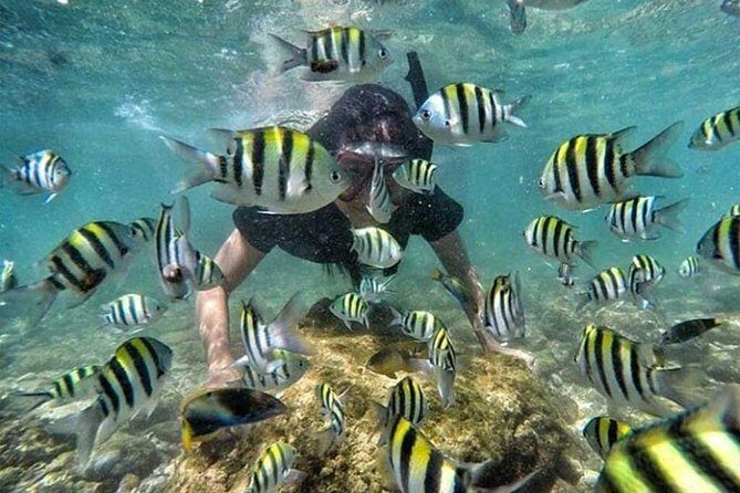 All Inclusive Bali Snorkeling Blue Lagoon tour experience - Coffee plantation at 16:30: a calmer finish to the day