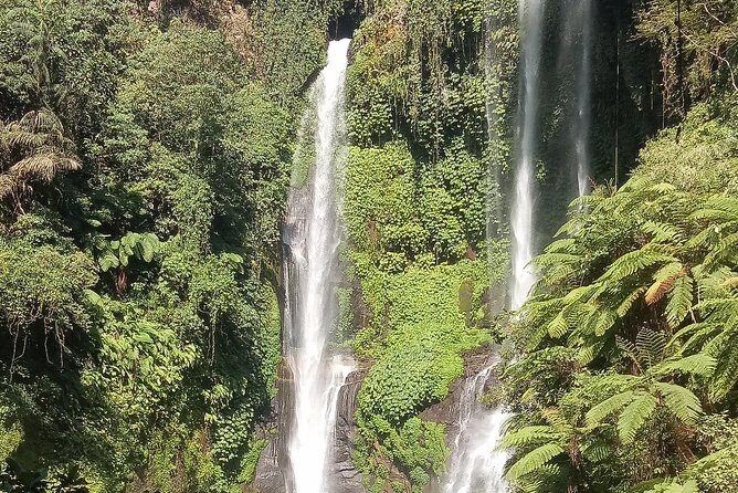 All Inclusive Sekumpul Waterfall Trekking , Handara Gate & Temple - Transportation, timing, and the value behind the price