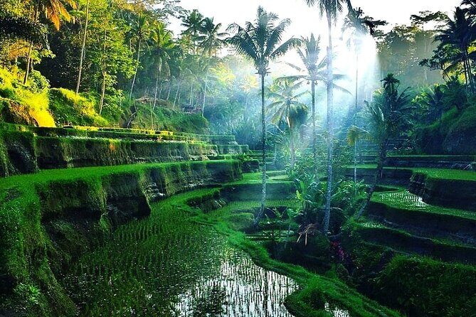 [All Inclusive] The Soul of Bali: Temples, Art & Traditions Tour - Stop 4: Suwat Waterfall, Bamboo Walk, and Rock Carvings