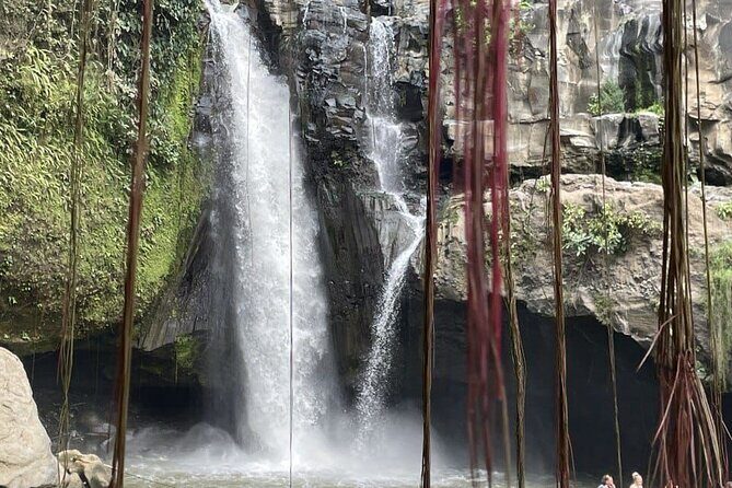 All Inclusive Ubud Cultural and Natural Highlights Tour - Ubud Highlights, Timed for Real Life