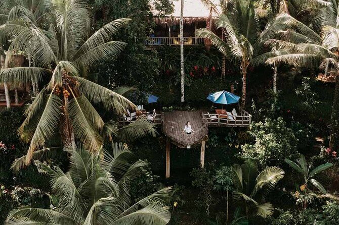 All-Inclusive Ubud Private Tour - Price and value: what you’re really paying for
