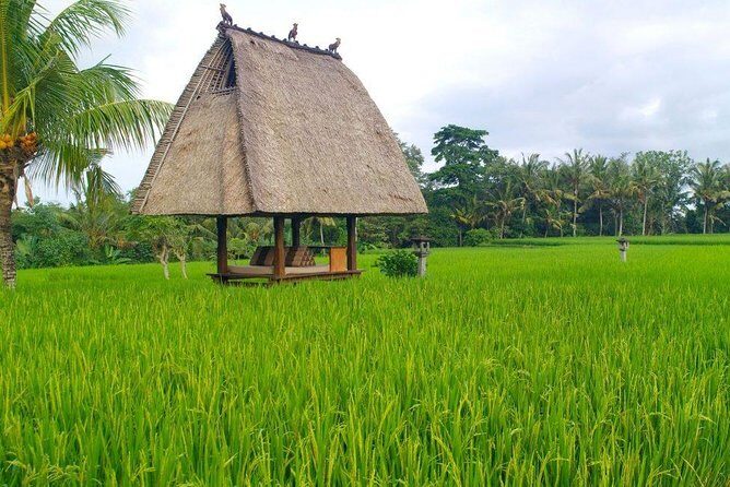 All-Inclusive Ubud Private Tour - Who should book this private Ubud tour