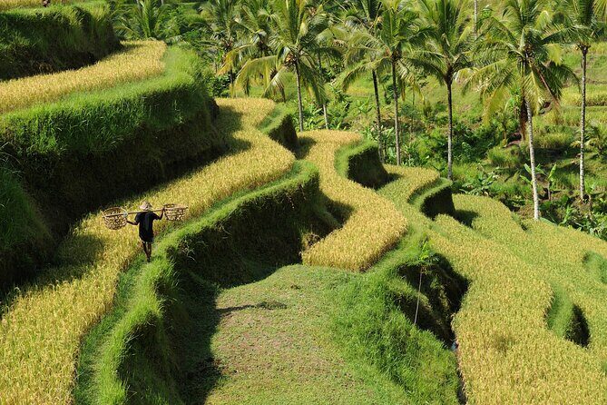 All-Inclusive Ubud's Wonder Day Tour - Kanto Lampo (Katolampo): Tiered Rocks and Big Cascade Photos