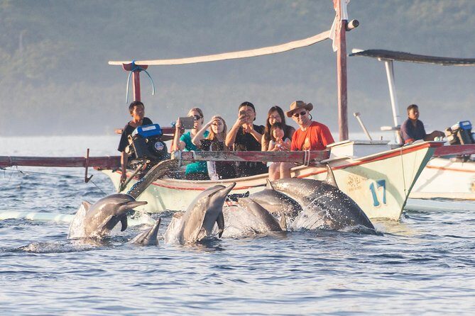 Amazing Private Tours: Dolphins Lovina and Gitgit Waterfall include Lunch - Your private driver: comfort, pickup, and staying on schedule