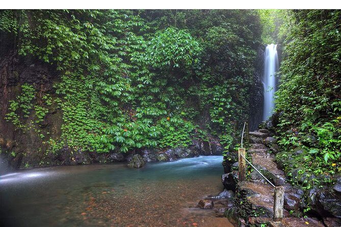 Amazing Private Tours: Dolphins Lovina and Gitgit Waterfall include Lunch - Lunch and Candikuning Market: practical stops that keep the day moving