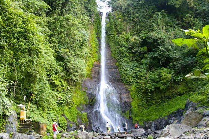 Amazing Private Tours: Dolphins Lovina and Gitgit Waterfall include Lunch - How long it really takes: building a day around a 10-hour plan