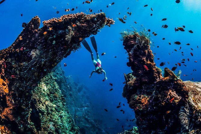 Amed Bali Snorkelling: Japanese Shipwreck & Vienna Beach Tour - Gear, Boat Handling, and the Wildlife Rules That Make It Better