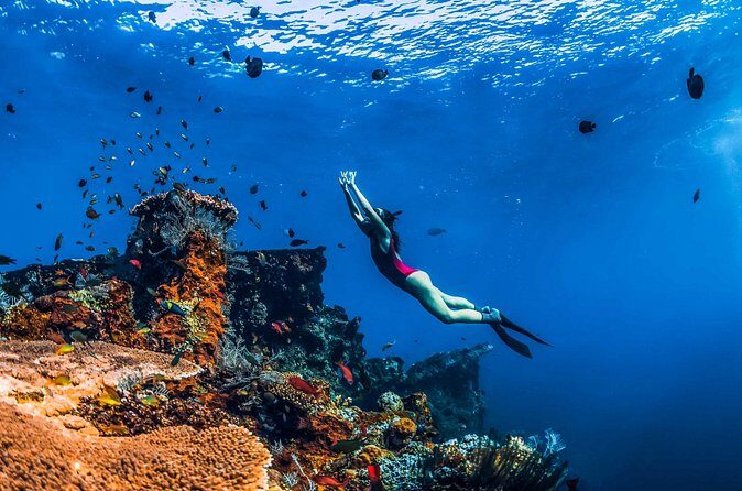 Amed Bali Snorkelling: Japanese Shipwreck & Vienna Beach Tour - Who This Snorkel Tour Fits Best (and Who Should Skip It)