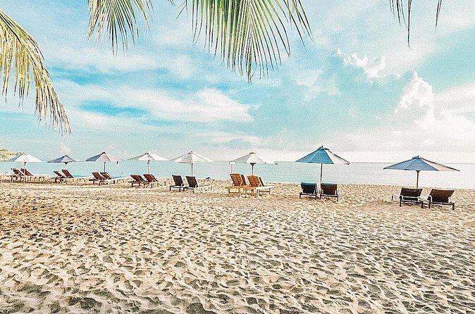 Amed Bali Snorkelling: Japanese Shipwreck & Vienna Beach Tour - Should You Book the Amed Bali Snorkeling: Japanese Shipwreck and Vienna Beach Tour?
