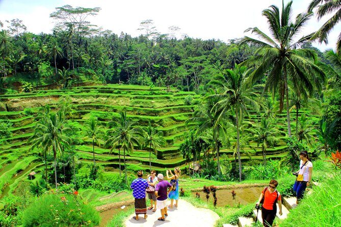 ATV Quad Bike with Kintamani Volcano Tour - All Inclusive - Dadi Bali Adventures: how the 2-hour jungle quad ride really works