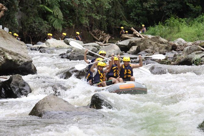 ATV Ubud and Ayung River Rafting - Rafting the Ayung River: where the thrills come from (and where they don’t)