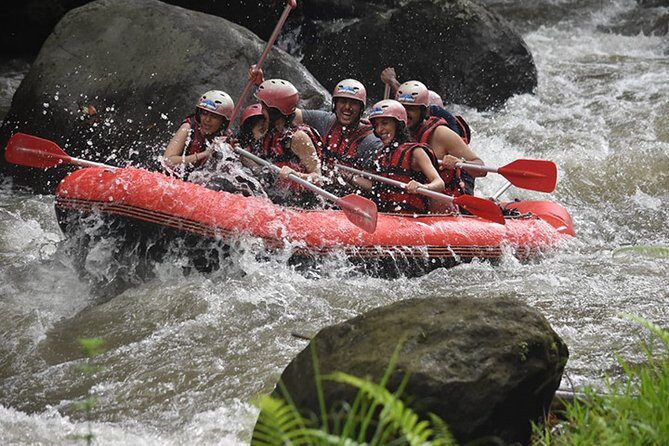Ayung Rafting Ubud (Include Lunch & Return Transportation) - Key highlights at a glance