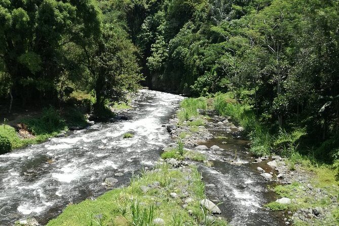 Ayung Rafting Ubud (Include Lunch & Return Transportation) - Lunch + hot shower: the underrated part of rafting