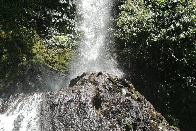 Ayung Rafting Ubud (Include Lunch & Return Transportation) - Price and value: what $75 really includes