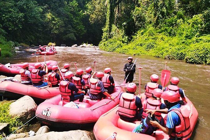 Ayung River Half-Day White Water Rafting Bali in Ubud - What happens after you paddle: lunch, showers, and the return window