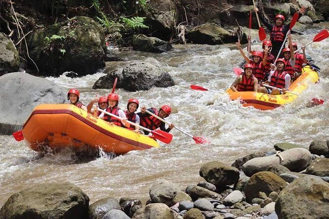 Ayung River Half-Day White Water Rafting Bali in Ubud - Pickup, drop-off, and that Ubud traffic variable