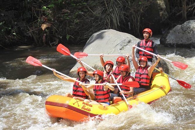 Ayung River Half-Day White Water Rafting Bali in Ubud - Value and price: is $28 for Ayung rafting in Ubud a good deal?