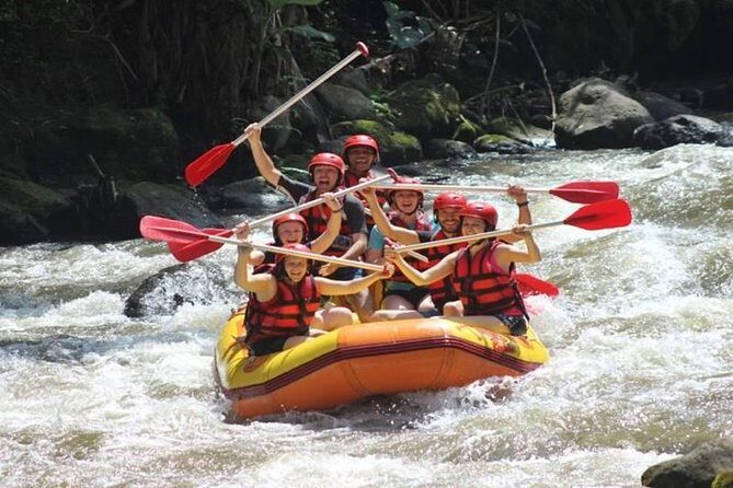Ayung River Half-Day White Water Rafting Bali in Ubud - The rafting run: what Class IV potential and your guide ratio means