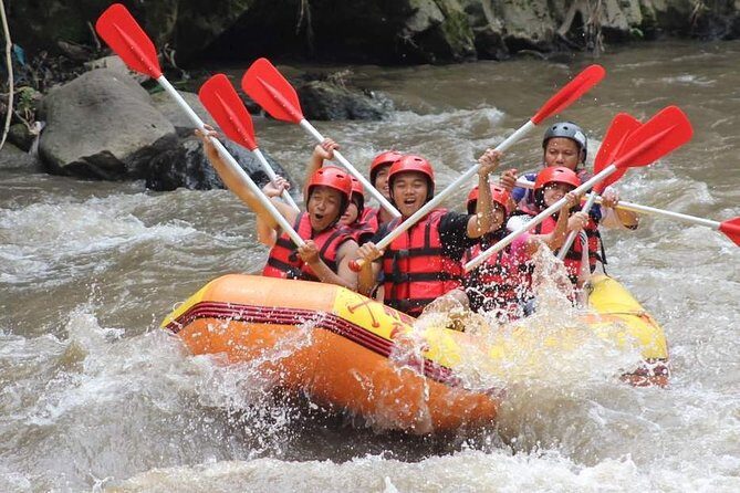 Ayung River - White Water Rafting Bali - The Rafting Run: Grade II–III Thrills and Real Bali Views