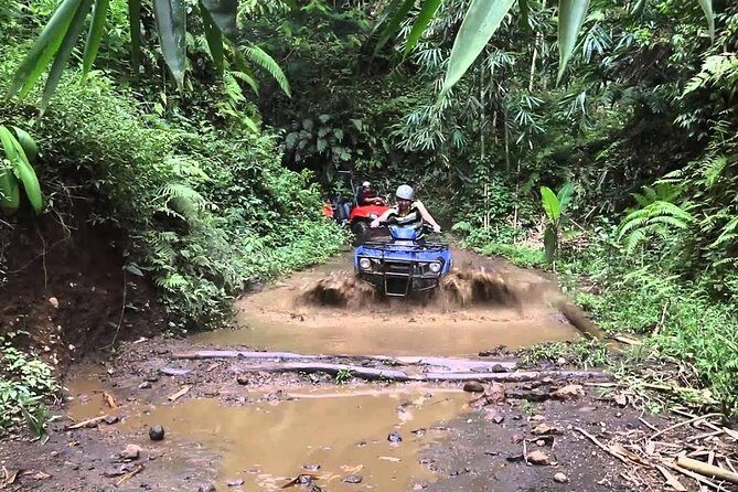 Balaji Adventure Bali Quad Bike - Single Bike 250cc - Getting Oriented: Ubud Meeting Point and First Steps