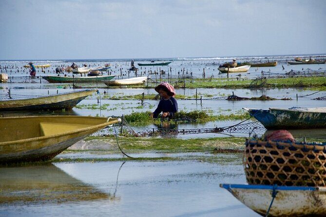 Bali 2 Days and 1 Nights of Nusa Penida and Lembongan Tour - Who This Tour Fits Best (And Who Should Skip It)
