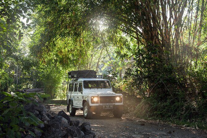 Bali 4WD Adventure WakaLand UNESCO Jatiluwih Trip in Bali Outback - Jatiluwih UNESCO terraces: Subak irrigation up close