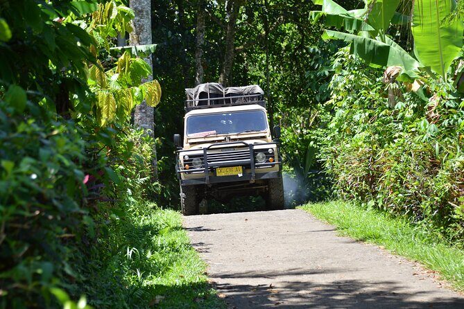 Bali 4WD Adventure WakaLand UNESCO Jatiluwih Trip in Bali Outback - Mount Batukaru slope stops: bamboo groves to jungle lunch