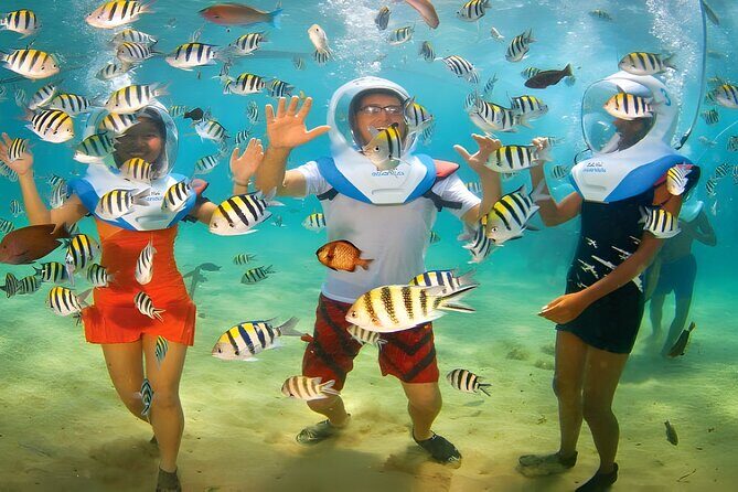 Bali Activity: Bali Sea Walking in Nusa Dua Ocean - The Underwater Experience: Corals and Fish You Can Actually Enjoy