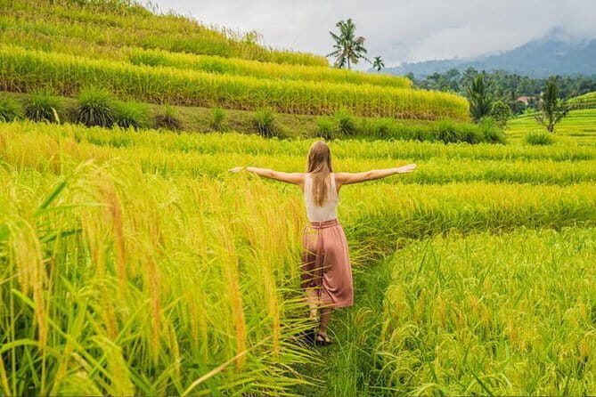 Bali Airport from or to Seminyak/Canggu/Sanur/NusaDua/Uluwatu - Price and Value: Why $25 Can Be a Smart Move
