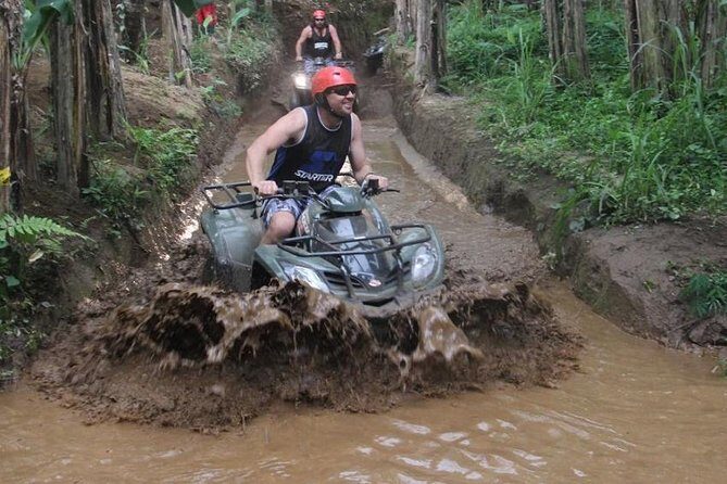 Bali All Inclusive : Tlaga Singha Infinity Pool & Atv Adventure - Stop 2: Balaji Adventure Bali, rice-field scenery and lunch