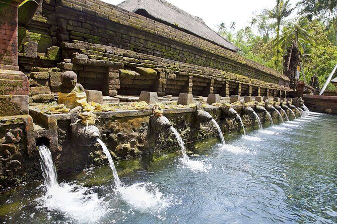 Bali All-Inclusive: Ubud Tour with Entrance Ticket and Lunch Included - Monkey Forest sanctuary: temples, trees, and the long-tailed locals