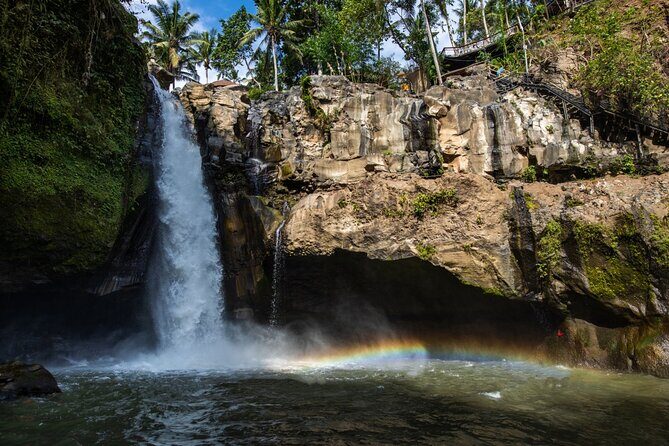 Bali All-Inclusive: Ubud Tour with Entrance Ticket and Lunch Included - Lunch at Tegalalang: choose your meal, then keep the view time