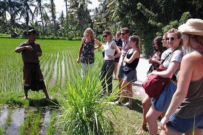 Bali Amazing Cooking Class - Eating the meal you made: lunch or dinner with Balinese style