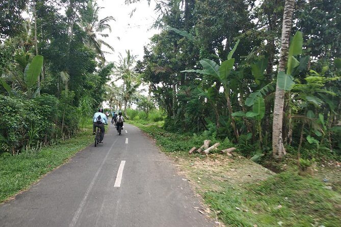 Bali Amazing Cycling Tour - Rice terraces and coffee: your warm-up before the downhill ride