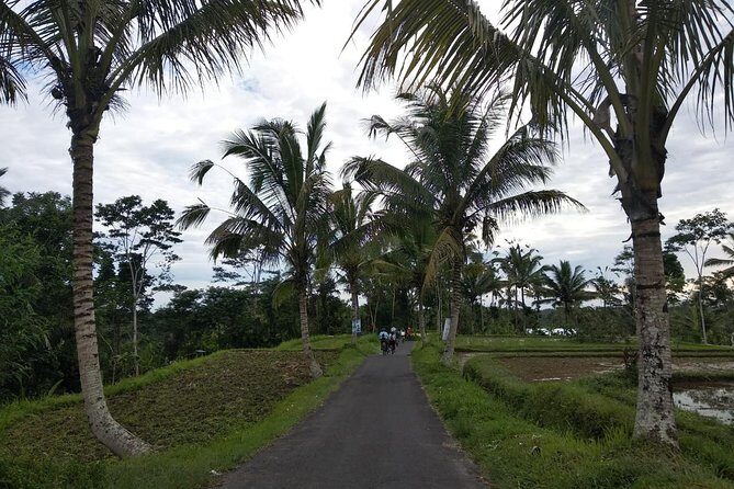 Bali Amazing Cycling Tour - Pickup and timing that actually matters in Bali