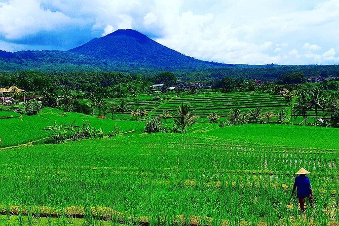 Bali Ancient Temples Tour - Comfort and Pickup: Why the Ride Matters More Than You Think