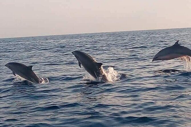 Bali and Lovina with Sunrise Dolphin Tour and Snorkeling - Why Lovina’s Sunrise Dolphin Tour Beats a Sleep-In