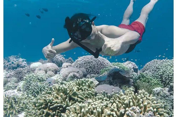 Bali and Lovina with Sunrise Dolphin Tour and Snorkeling - Logistics You’ll Actually Care About: Where You Meet and How It Ends