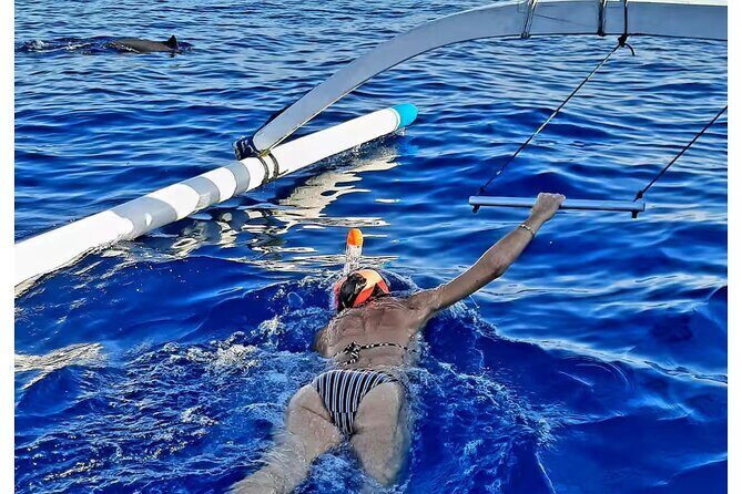 Bali and Lovina with Sunrise Dolphin Tour and Snorkeling - Watching Sunrise at Sea: What It Feels Like in Practice