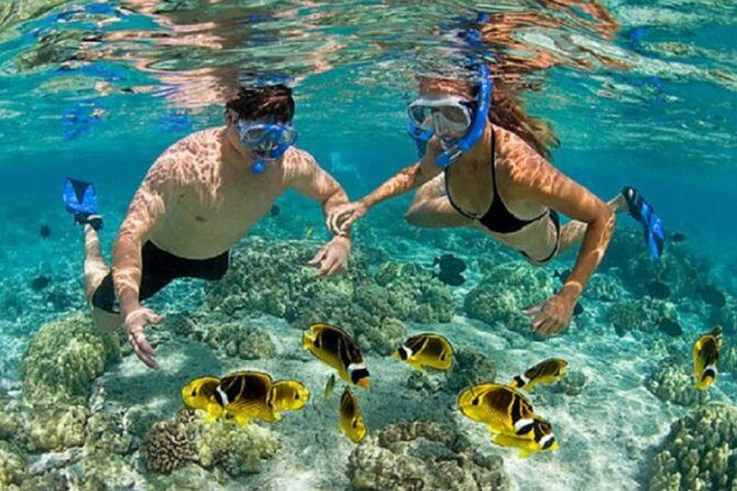 Bali ATV Blue Lagoon Snorkeling Private Guided Tour Free WiFi - Blue Lagoon Snorkeling: Traditional-Style Boat, Fish Feeding, and Real Guidance